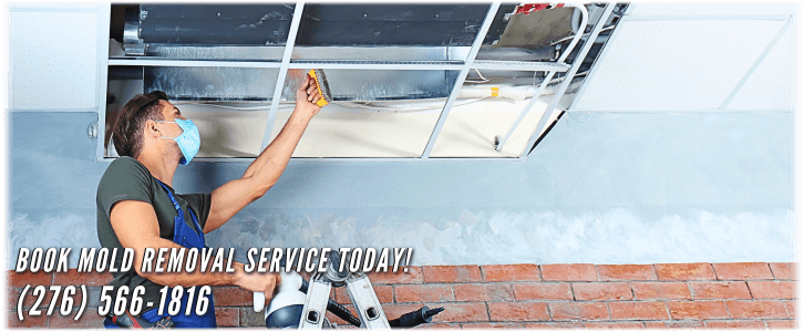 Air Duct Mold Removal in Washington