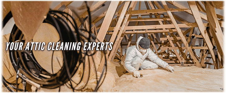 Attic Cleaning Washington